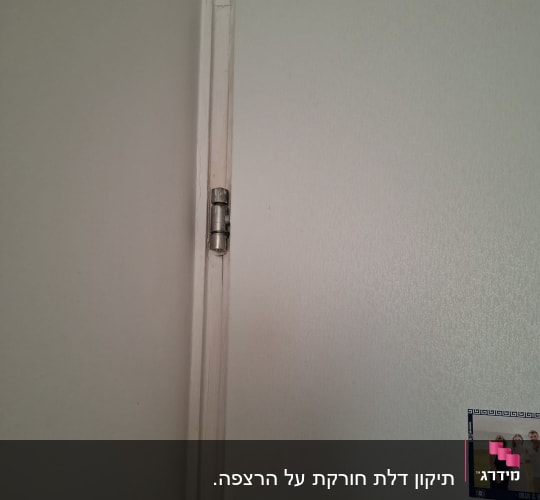 ציר דלת וחלק מהדלת עם תמונה קטנה